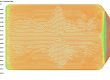 fiber orientation_skin