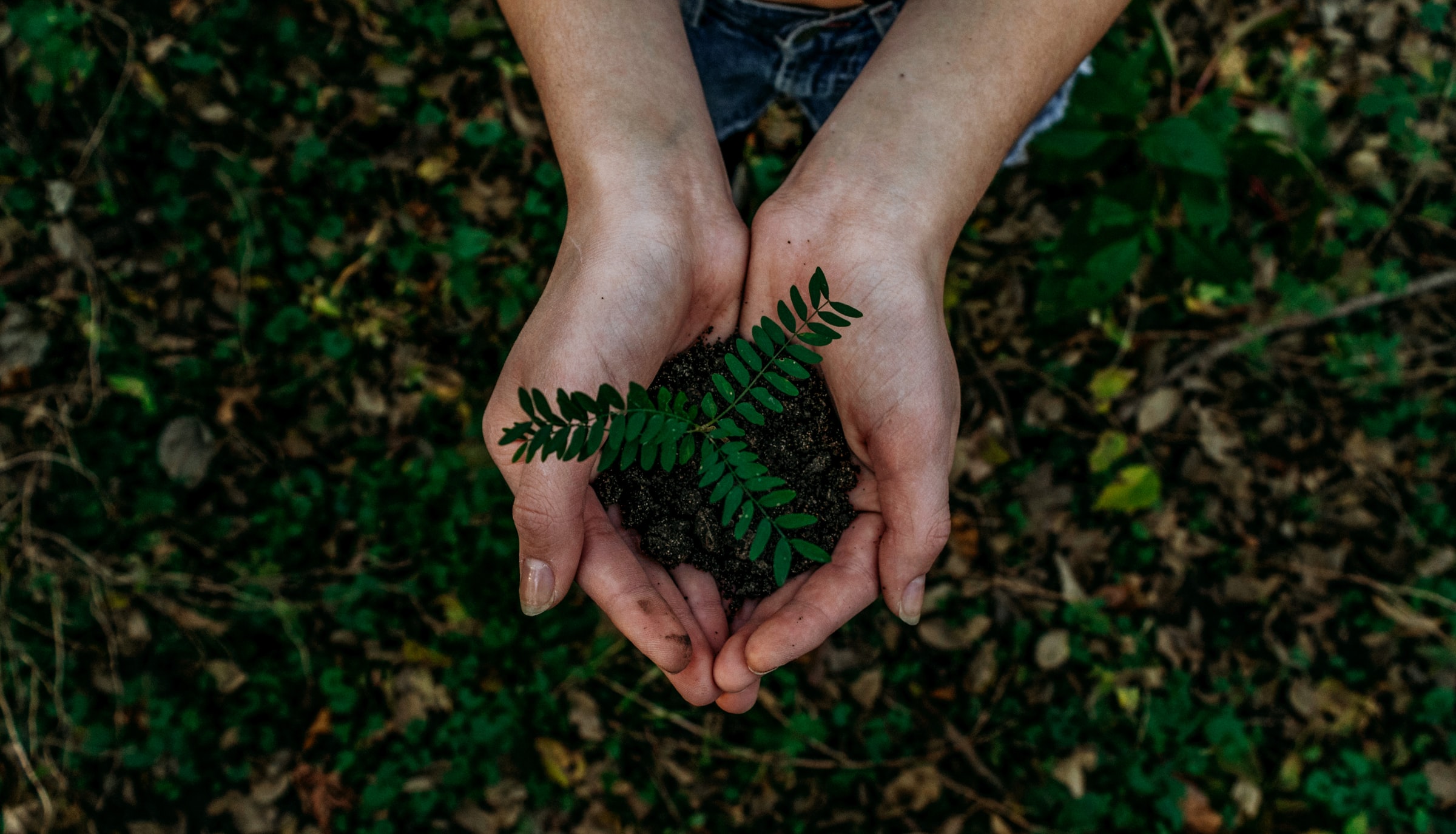 Il progetto BIOSNAP, il packaging monodose verso un futuro più sostenibile